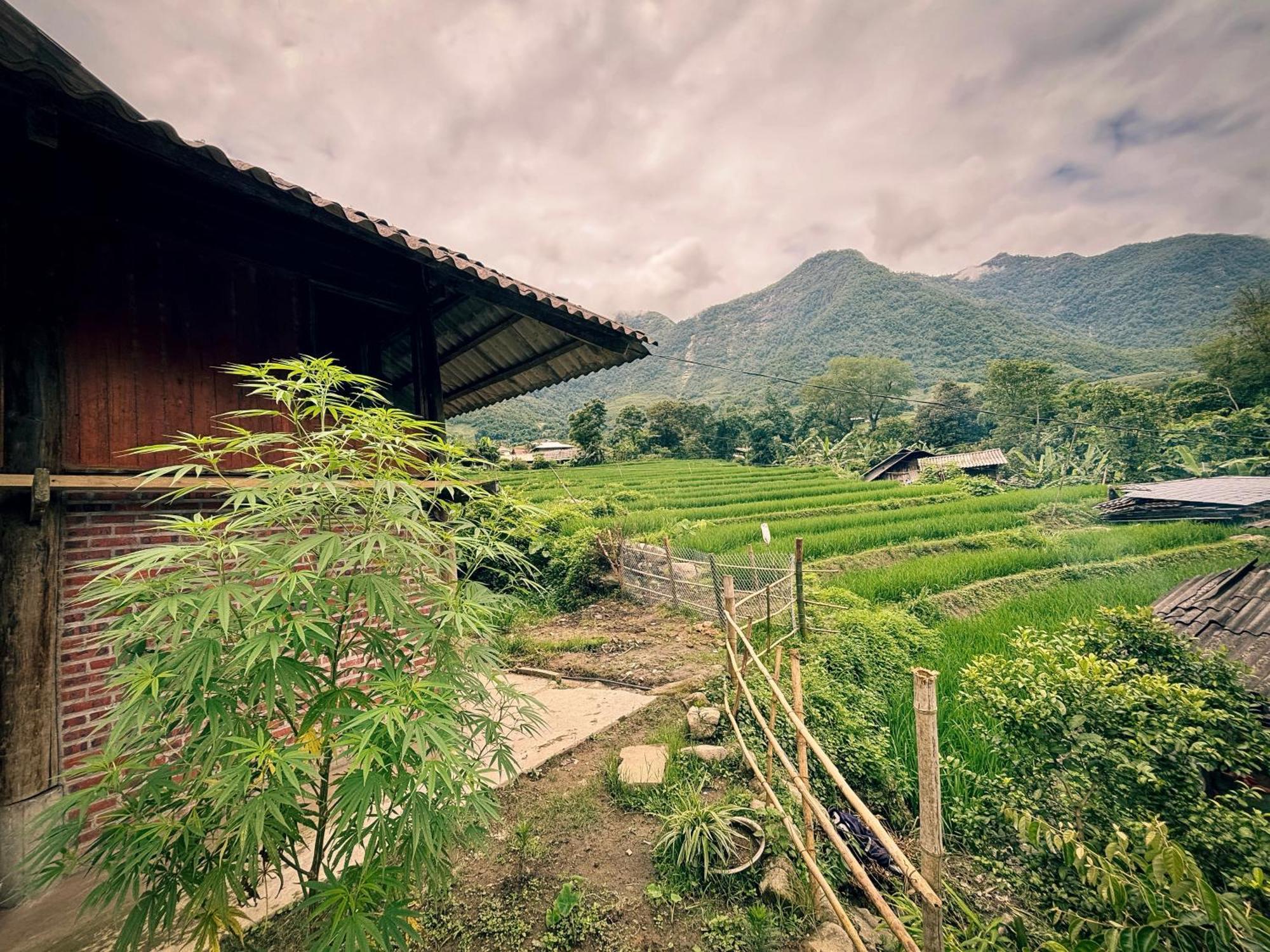 Sapa Tranquilla Apartment Exterior foto